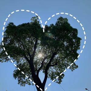 武则天一级婬片60分钟
